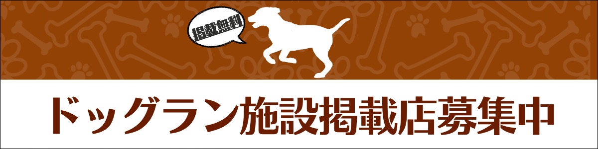 問い合わせ