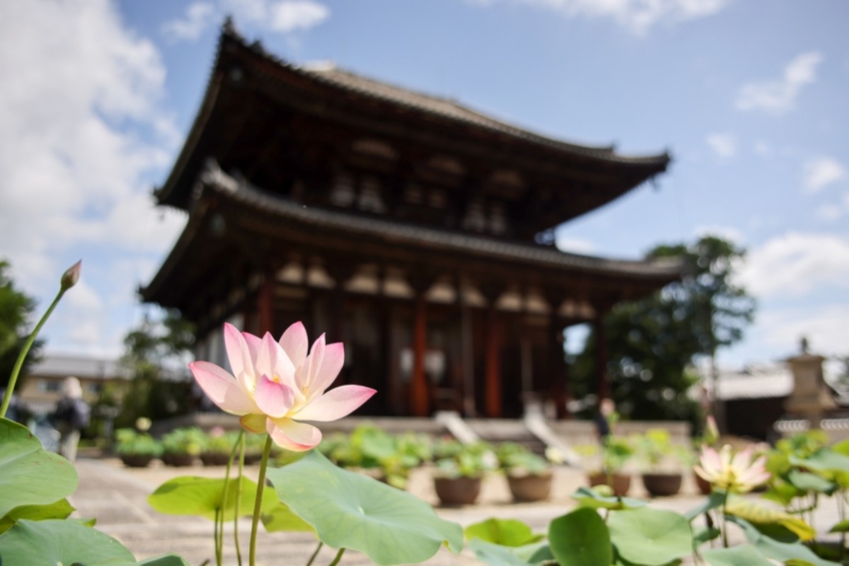 【奈良県】暑さに負けずに楽しもう!7月のおすすめイベントまとめ