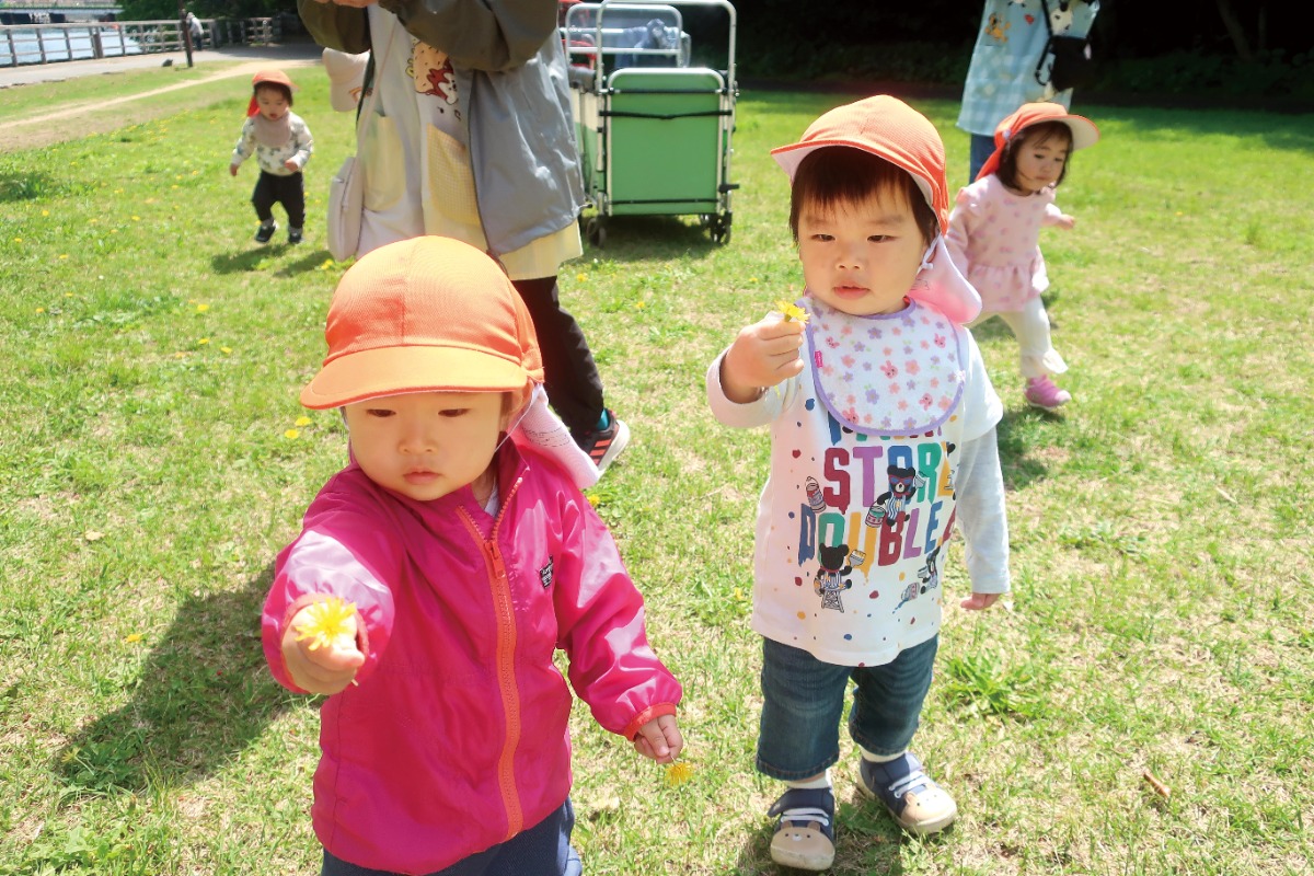 【子育て情報】徳島の認可外保育園をピックアップ【2026年度版】