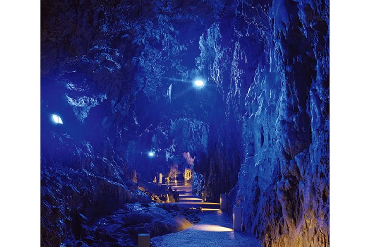 南北海道から北東北へ｜岩泉町　「龍泉洞」「岩泉ヨーグルト」「まつたけ」 が有名な本州一面積が広い町