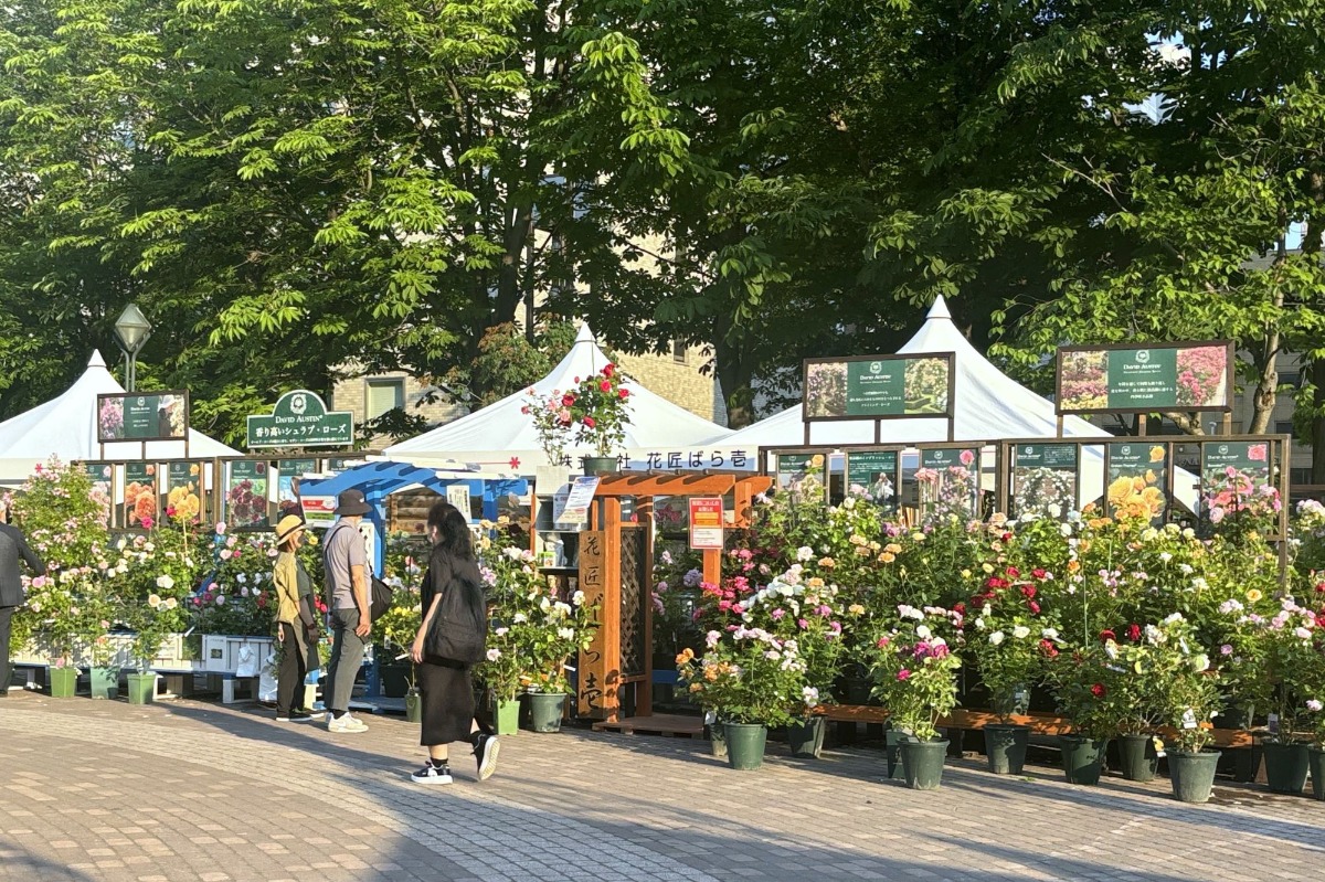 札幌・大通公園の「花フェスタ2025」へ。6月29日まで開催中!