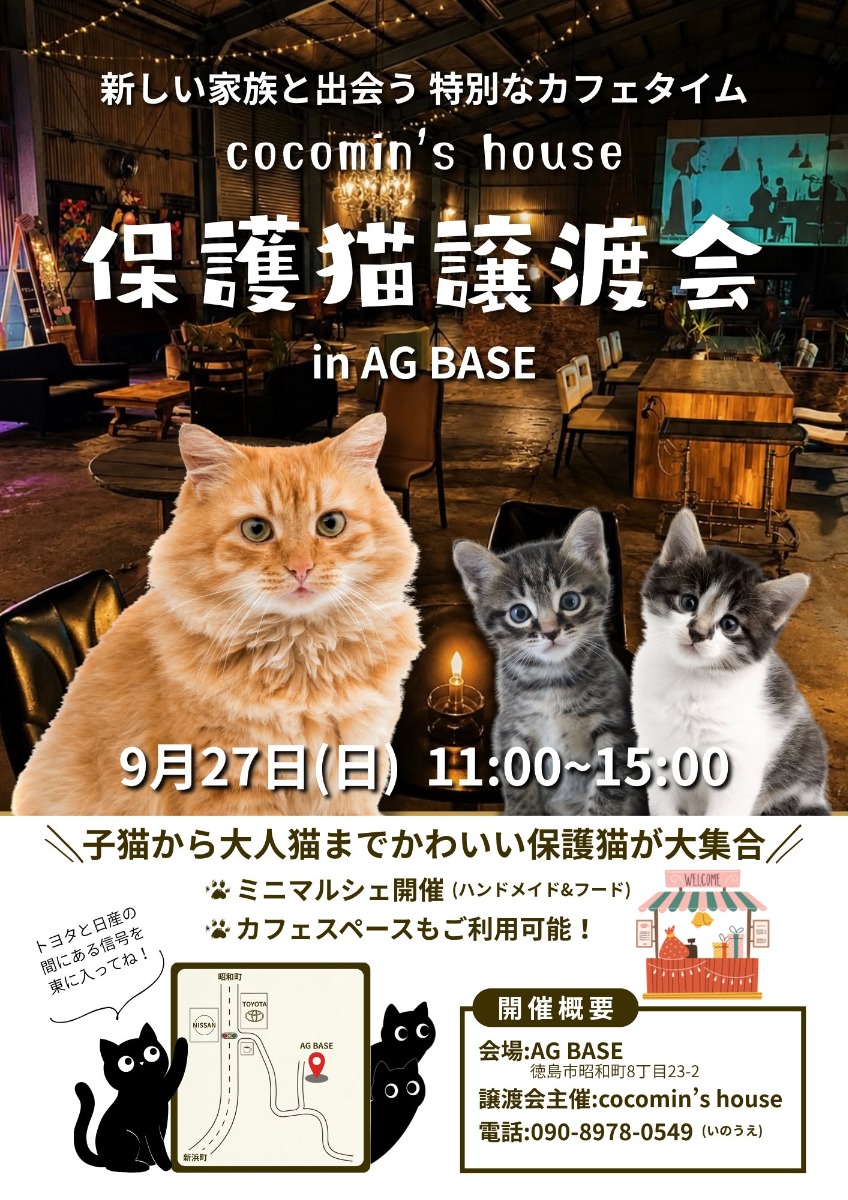 【徳島イベント情報2026】9/27｜保護猫譲渡会 in AG BASE