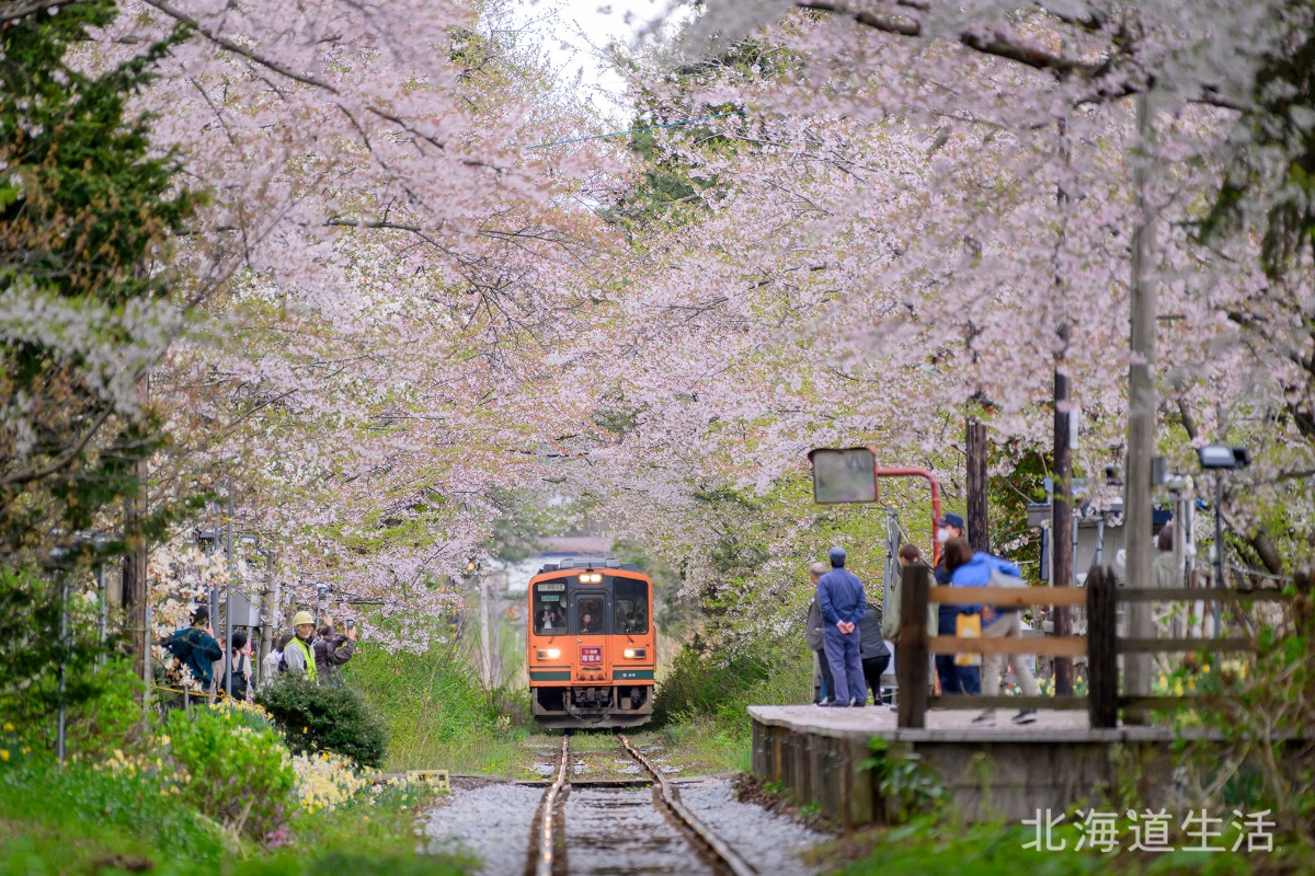 3月3日発売！「北海道生活」春号は、鉄道の旅で道南から東北へ