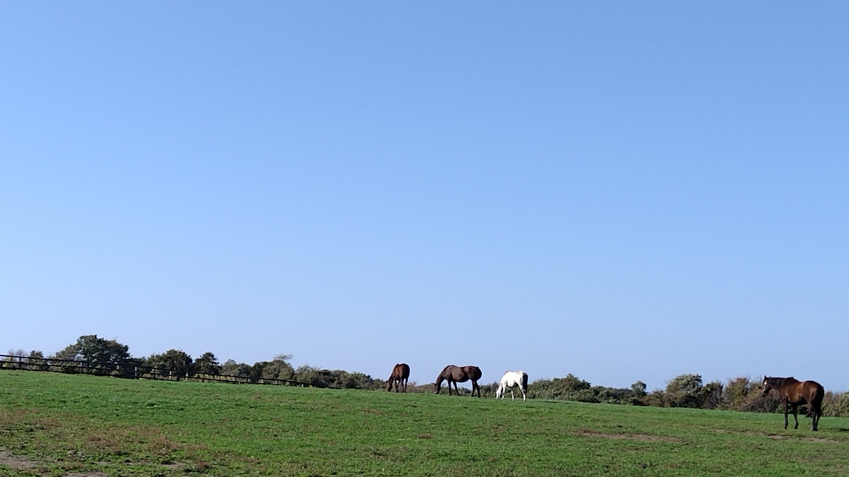 3月3日発売「北海道生活」春号（最終号）メッセージを募集します！