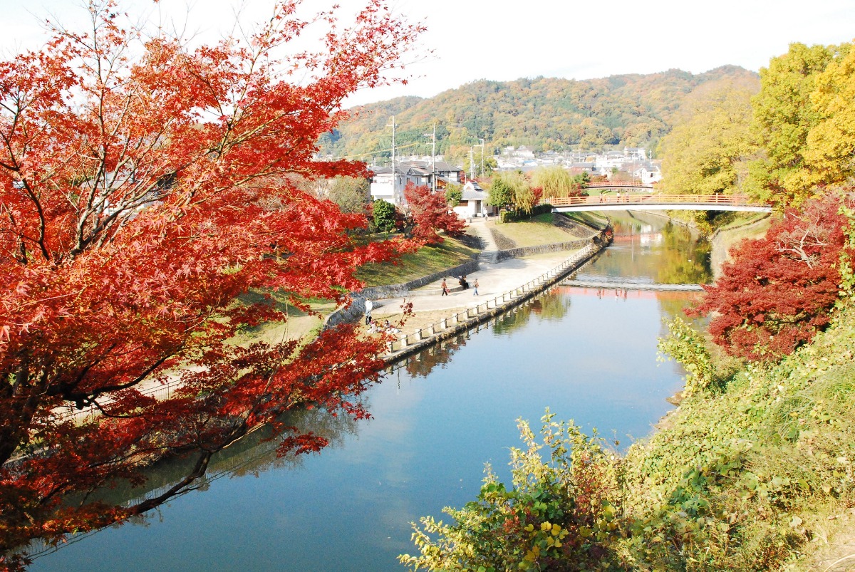 奈良の美しい公園や壮大な自然で楽しむ紅葉【紅葉特集2022｜公園・自然編】