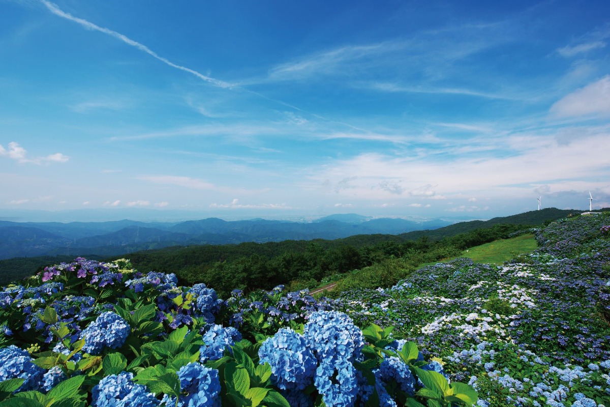 【佐那河内村】夏のおでかけ特集2026