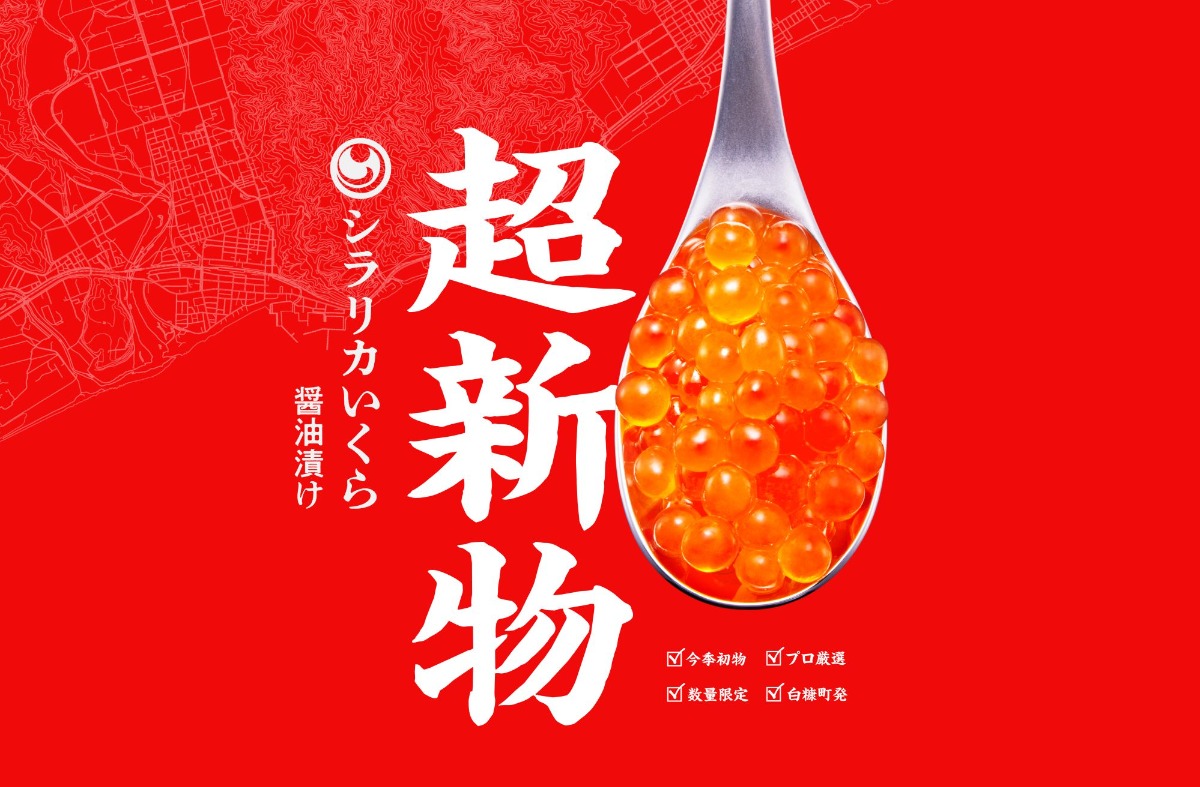 北海道 白糠町の「超新物シラリカいくら 醤油漬け」が返礼品に登場！