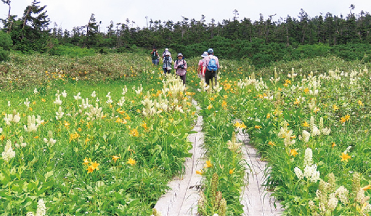 南北海道から北東北へ｜八幡平市　北東北の交通の要衝を担う、 広大な自然が広がるまち