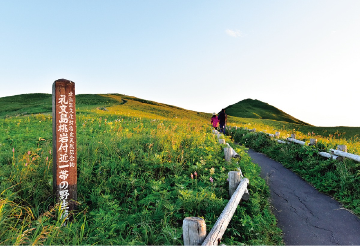 特別な場所へ 礼文島・秋物語|北海道大人の旅ガイド2025