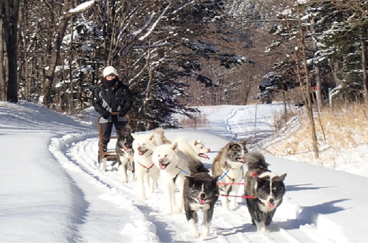 北海道、冬の遊び方。｜遠軽町（マウレ山荘）