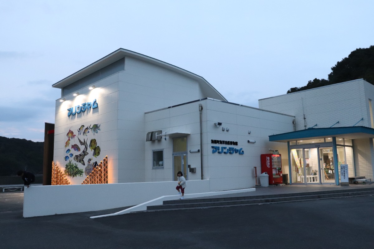 【徳島のおでかけ情報】海中観光船ブルーマリン号の「バレンタインナイトクルーズ2026」ロマンチックな夜の海でステキな思い出を