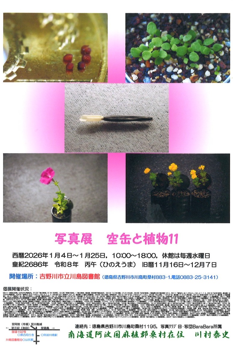 【徳島イベント情報2026】1/4～1/25｜空缶と植物11