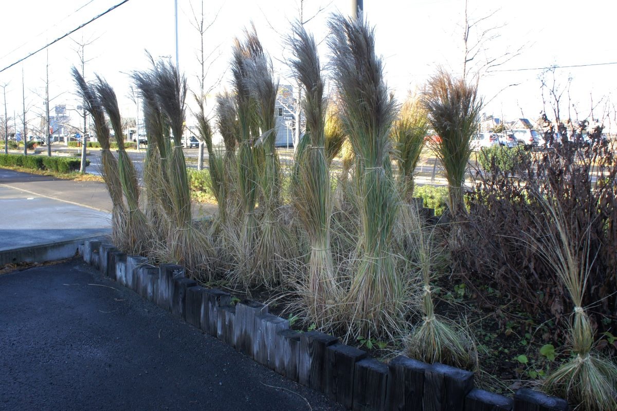 北海道 宿根草の育て方｜11月　庭じまいと冬に向けた保護