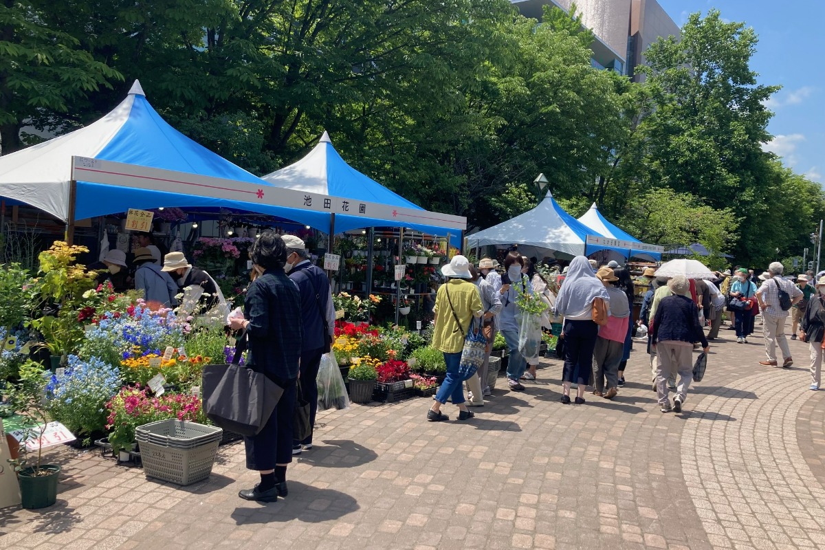 札幌・大通公園で花の祭典「花フェスタ2024札幌」6月22日より！