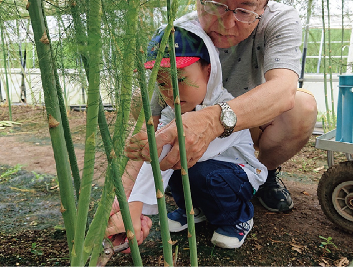 自然豊かな厚沢部町！テレワークサポート、子育て世帯の支援充実