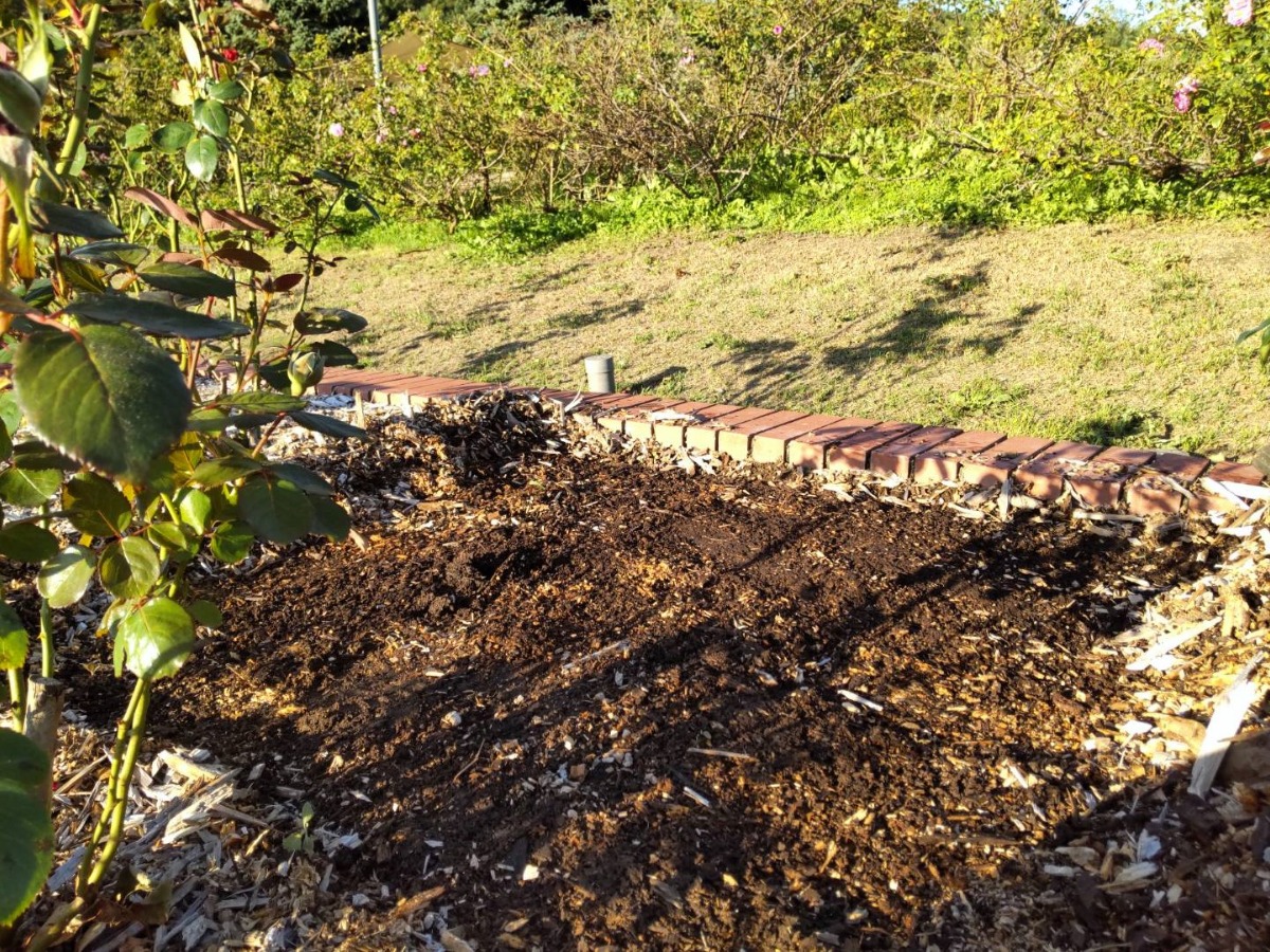 北海道 バラの育て方｜10月　来年の植え床づくり・土壌改良
