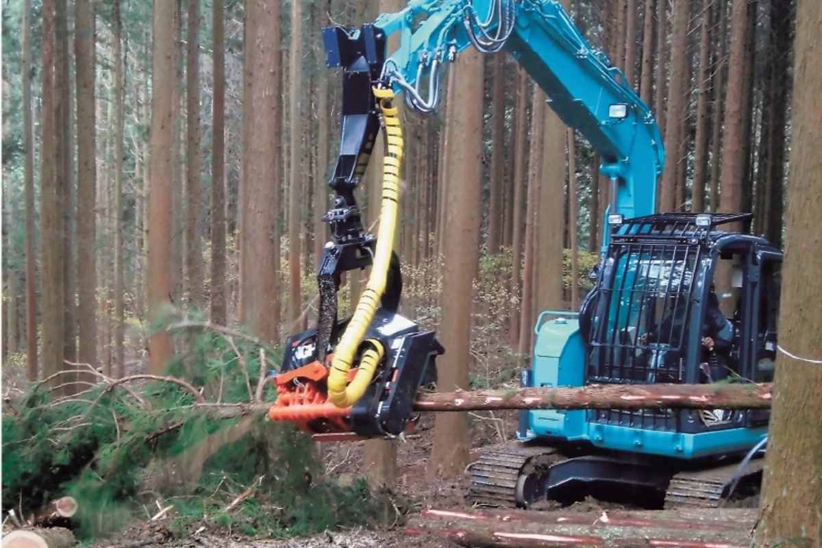 滝上町の充実の子育て・移住支援！渓流釣り・山菜採りなど自然も満喫