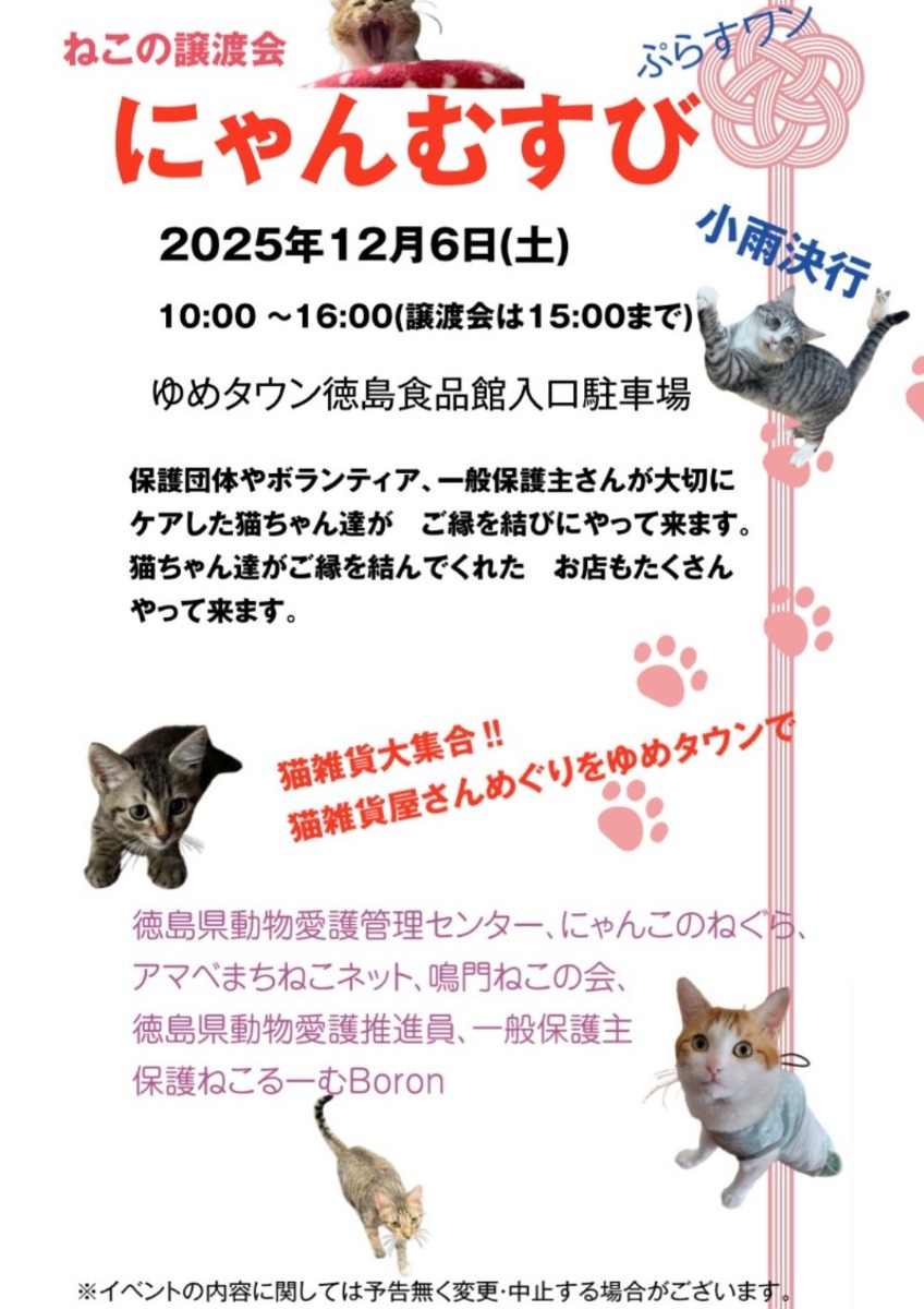 【徳島イベント情報2025】イベントピックアップ!! ～ 今週末のおでかけ情報をチェック!! ～【2025年12月6日～2025年12月12日】