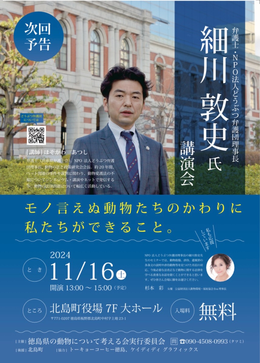 【徳島イベント情報2024】11/16｜細川弁護士とねこから目線小池さんのお話会