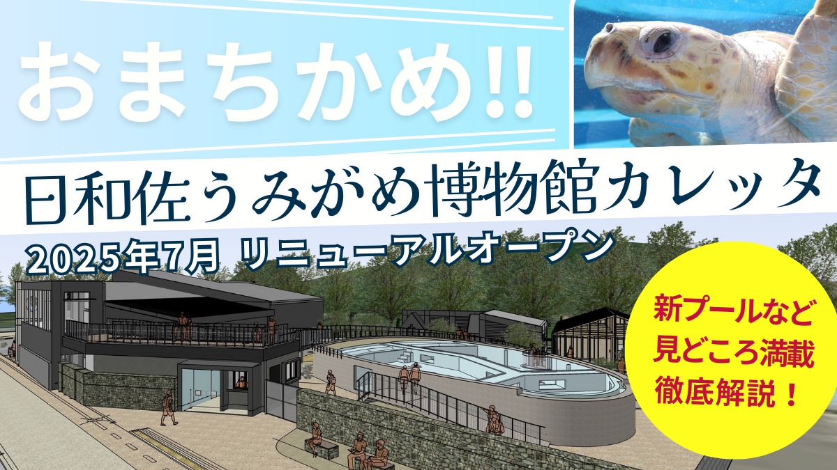 【レポ】日和佐うみがめ博物館カレッタ|2025年ついにリニューアルオープン! この夏おでかけしたい注目スポット
