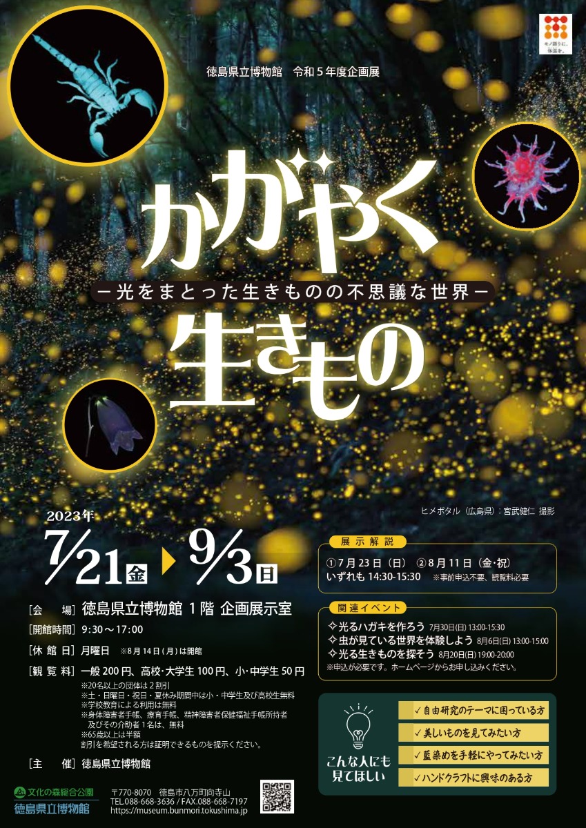 【徳島イベント情報】徳島県立博物館【7月】