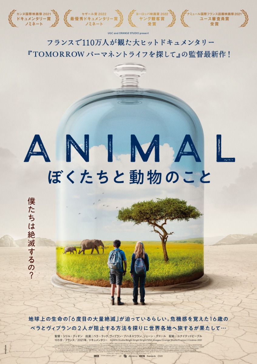 【徳島イベント情報2025】2/28｜金ムギロードショー『ANIMAL』