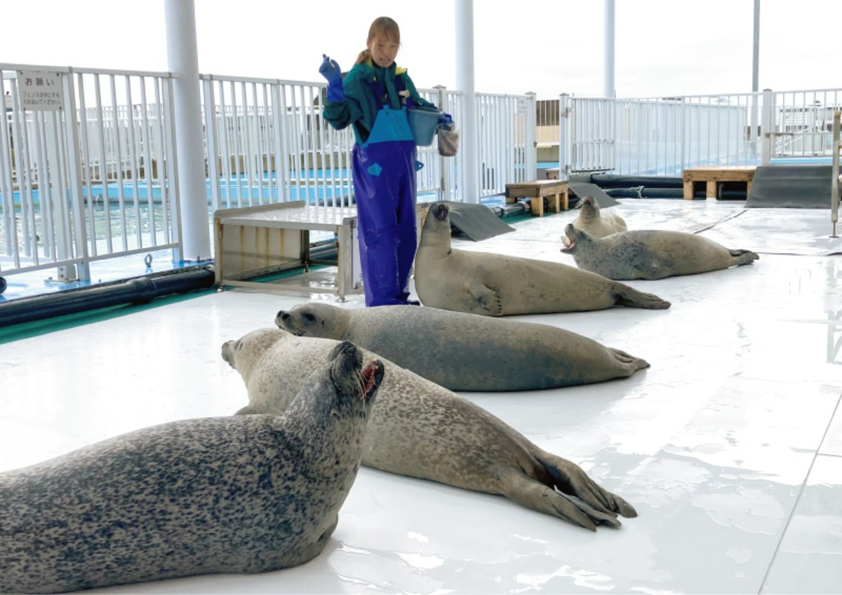 流氷で有名な「紋別」で、オホーツクの自然と食を楽しもう！