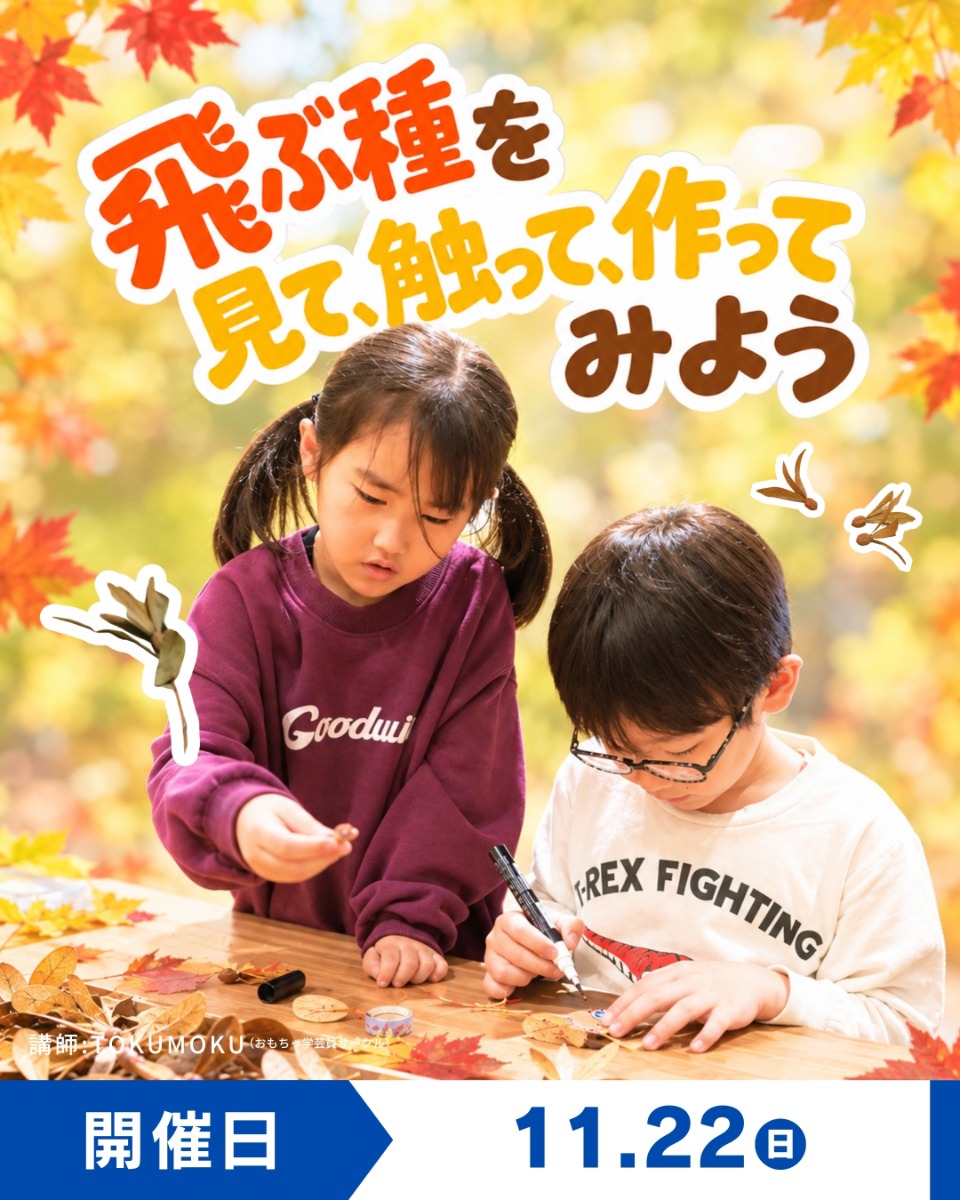 【徳島イベント情報】徳島木のおもちゃ美術館【11月】