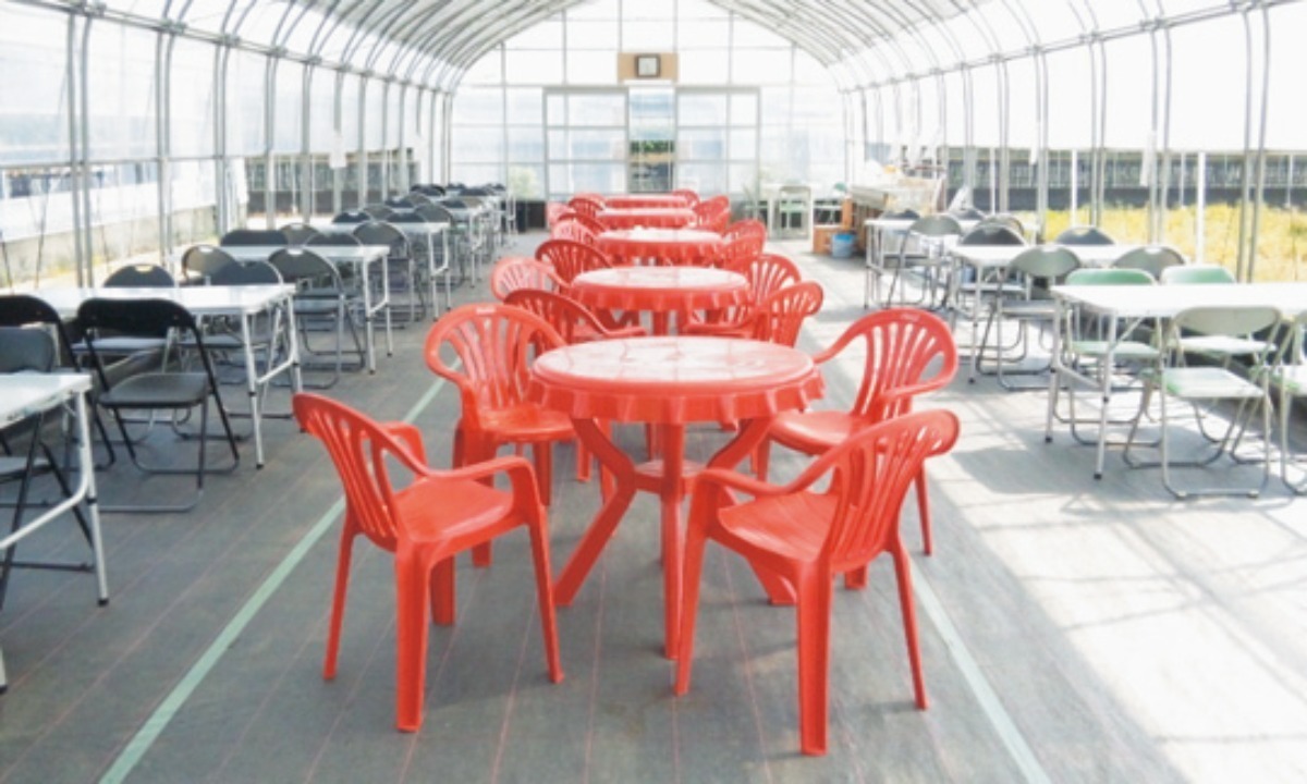 【2026最新版】徳島いちご狩りスポット・おすすめ14選！家族のおでかけ＆レジャーにぴったり