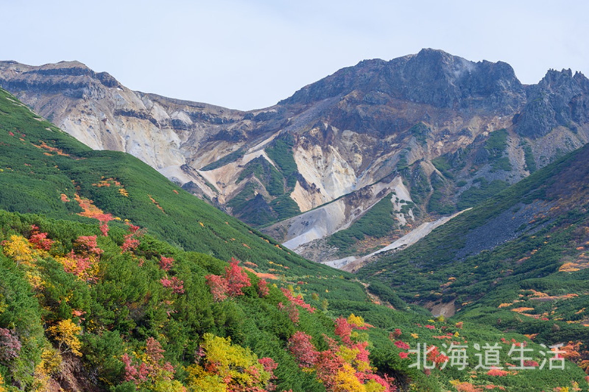 やぎさん取材日記｜日本一早い、北海道の紅葉を見られる温泉宿。