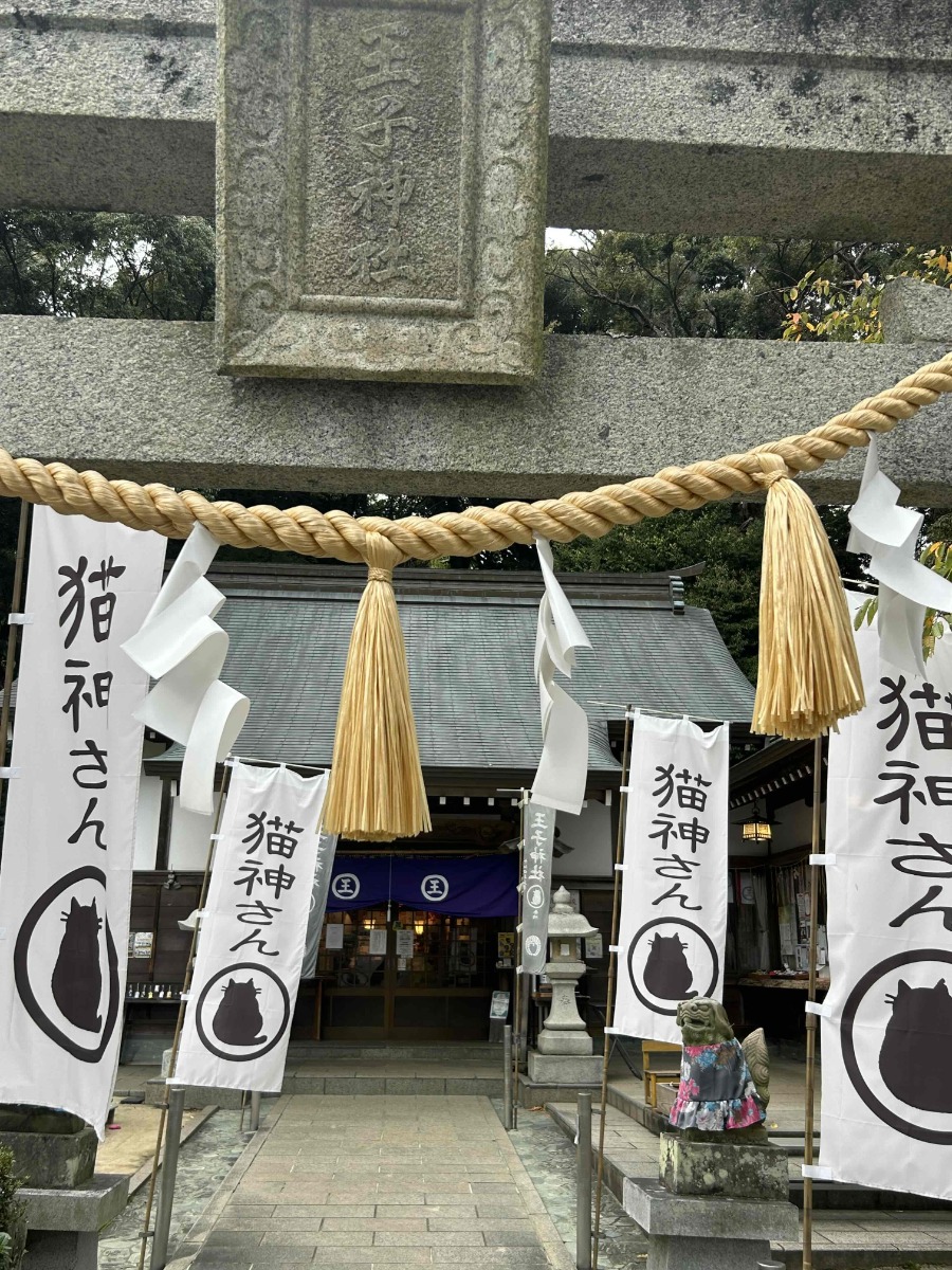 【最新2026年版】正月恒例！ 徳島のおすすめ初詣スポットまとめ。神社＆お寺のご利益をチェックして参拝しよう