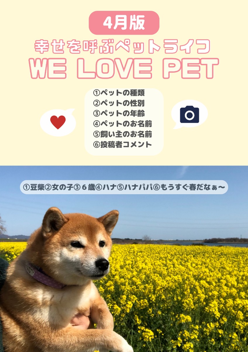 【ペットフォトコンテスト】幸せを呼ぶペットライフ　We LOVE Pet2024年4月版