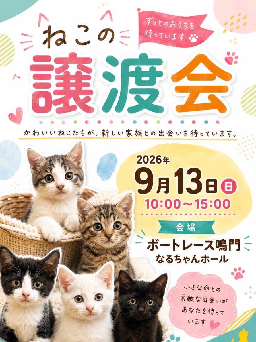 【徳島イベント情報2026】9/13｜ねこの譲渡会