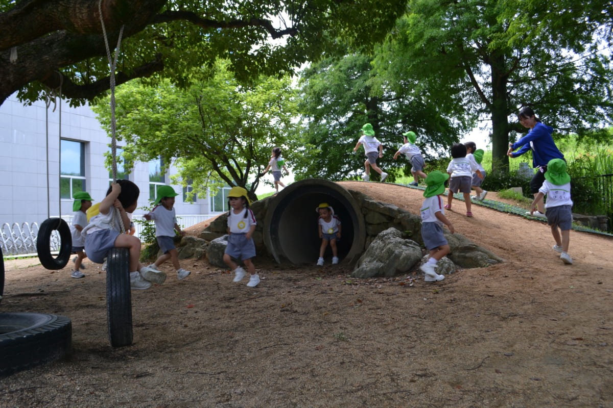 《2022年度版》徳島の私立幼稚園&認定こども園まとめ
