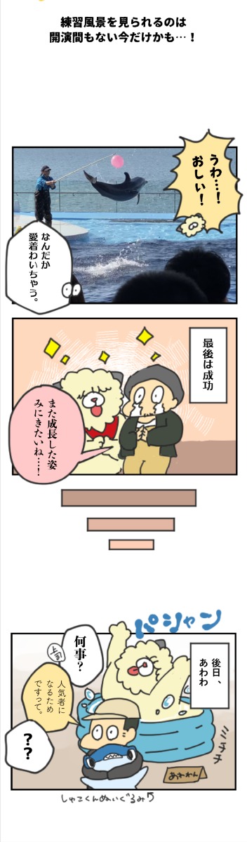 【連載漫画】あわわん、JRで四国水族館に行く。【なんしょん！あわわん 】-005-