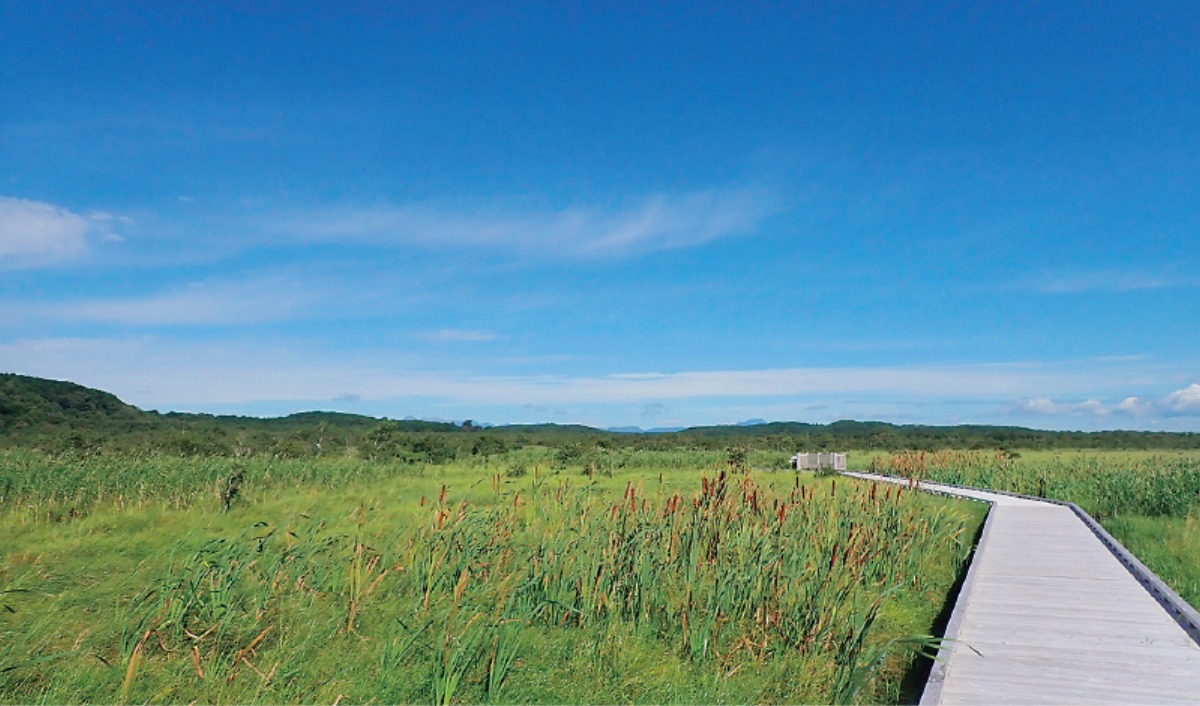 夏の大地をめぐる｜鶴居村　タンチョウが見られる、美しい村