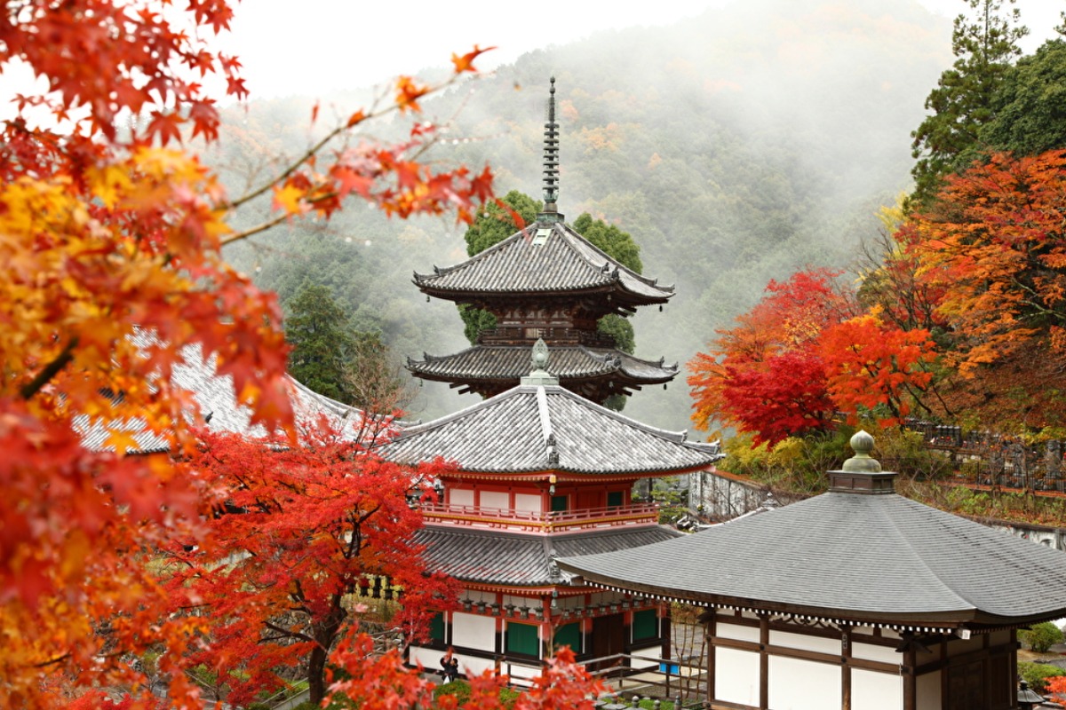 奈良の寺社と紅葉が織りなす日本の美を堪能しよう！【紅葉特集2022｜寺社編】