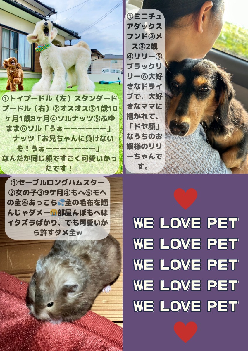 【ペットフォトコンテスト】幸せを呼ぶペットライフ　We LOVE Pet2023年10月版