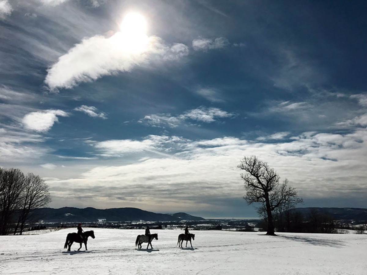 北海道 冬の遊び方｜浦河町　サラブレッドのまちで、馬と過ごす