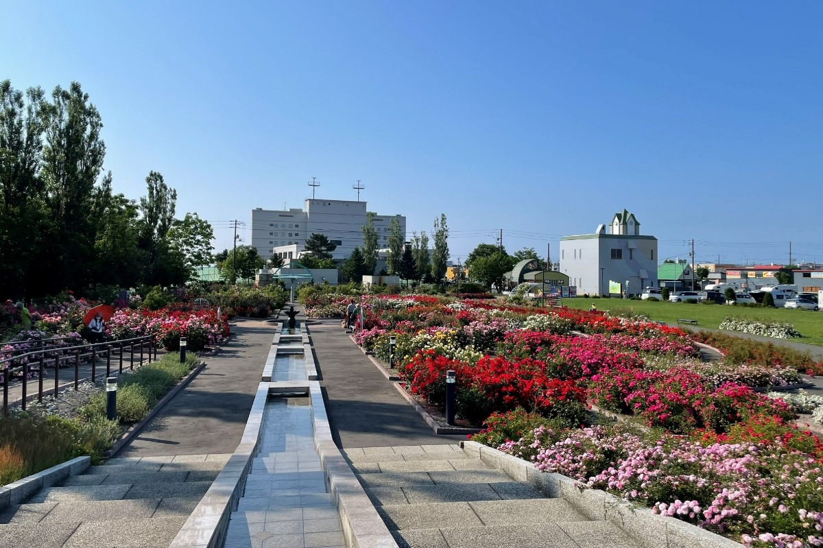 バラの花と香り｜2024 北海道のローズガーデン15選！（後編）