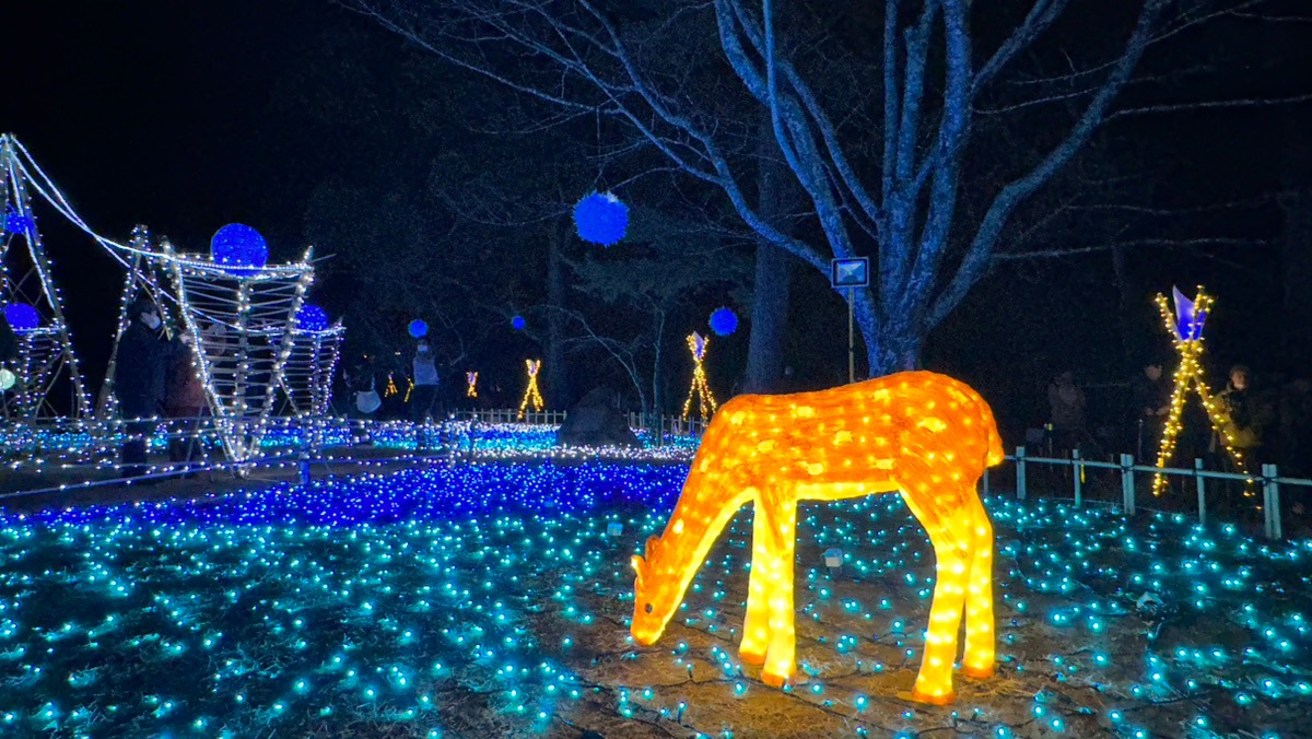 【2024なら瑠璃絵・夜間特別参拝】奈良公園一帯で「幻想的な光」の演出！