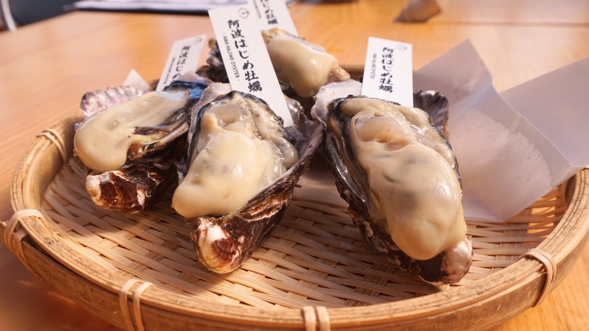 《牡蠣小屋はじめ》海の景色を眺めながら極上の海鮮を味わう新スポット