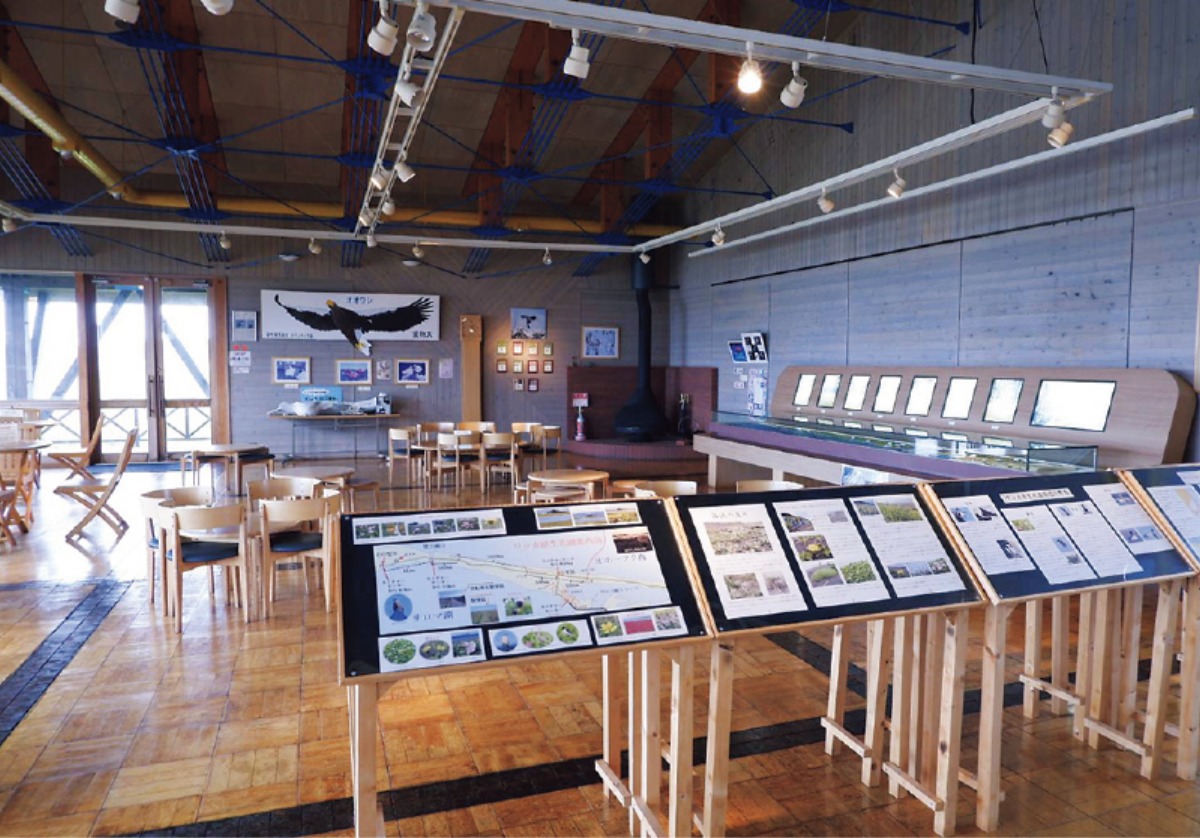 夏の北海道旅|日本最大の海岸草原「ワッカ原生花園」で花と自然を満喫