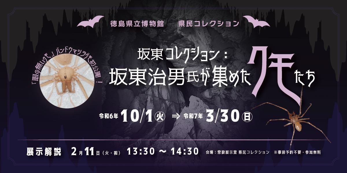 【徳島イベント情報2024】徳島県立博物館【11月】