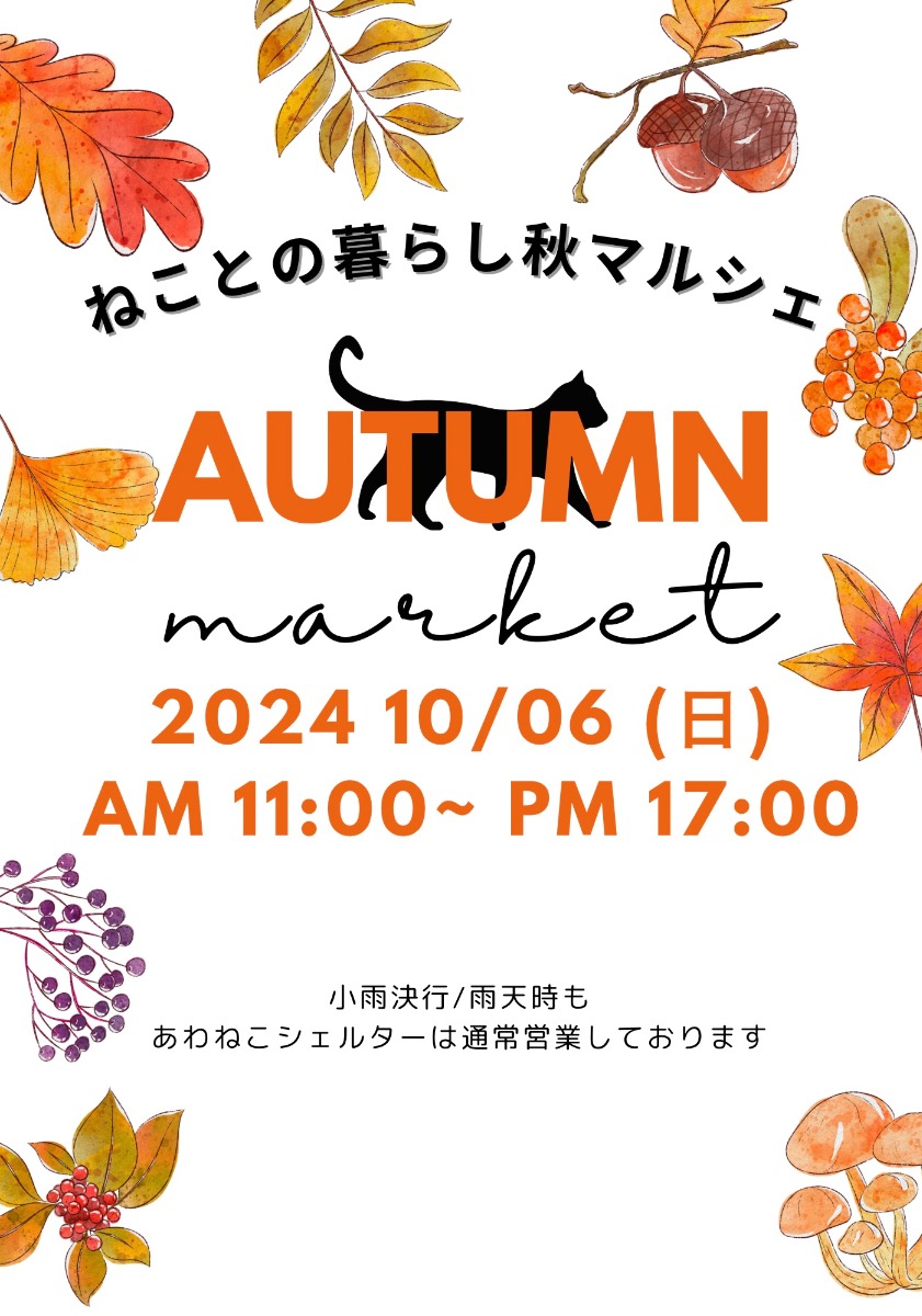 【徳島イベント情報2024】10/6｜ねことの暮らし秋マルシェ