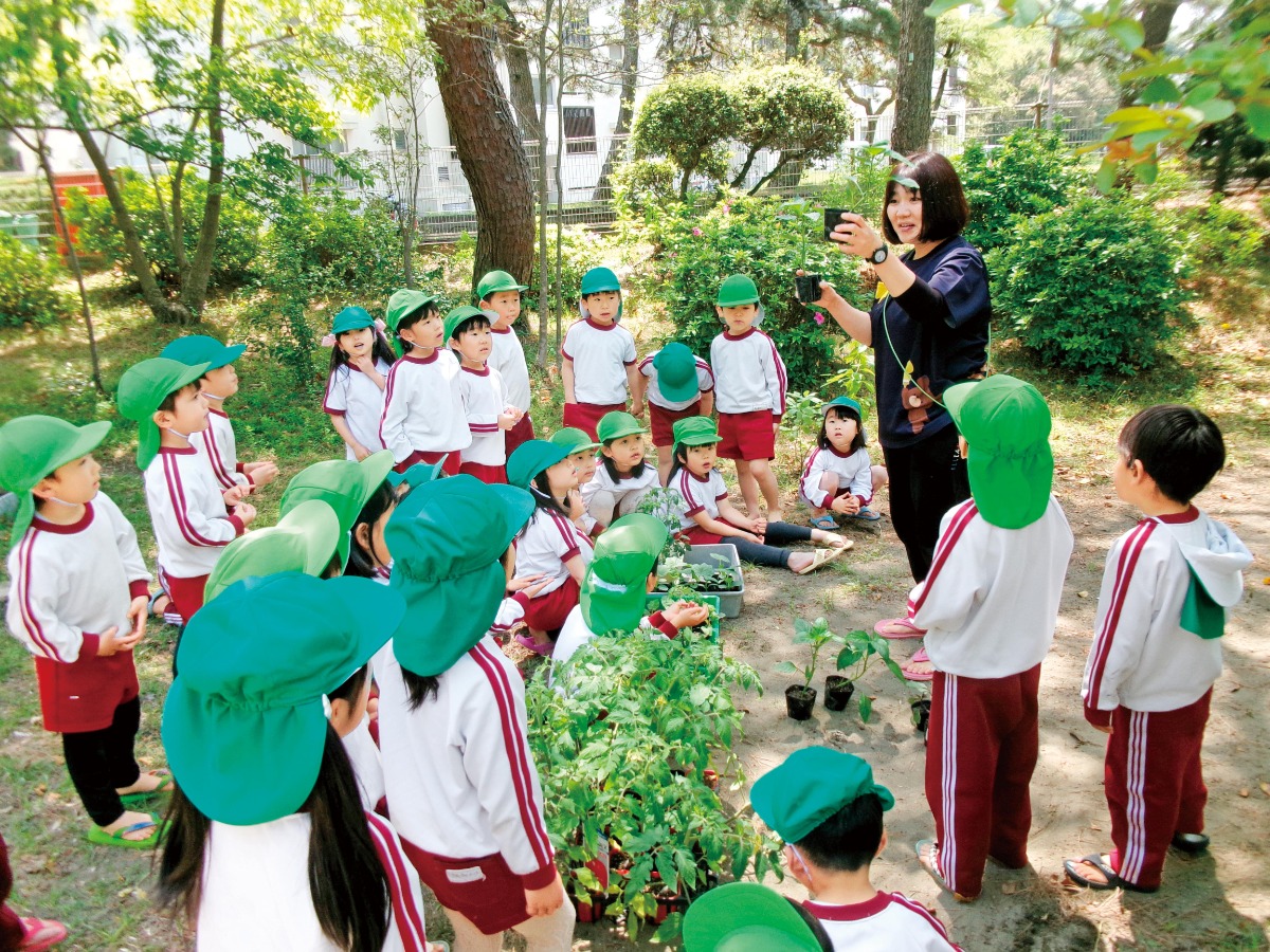《2026年度版》徳島の私立幼稚園&認定こども園ピックアップ