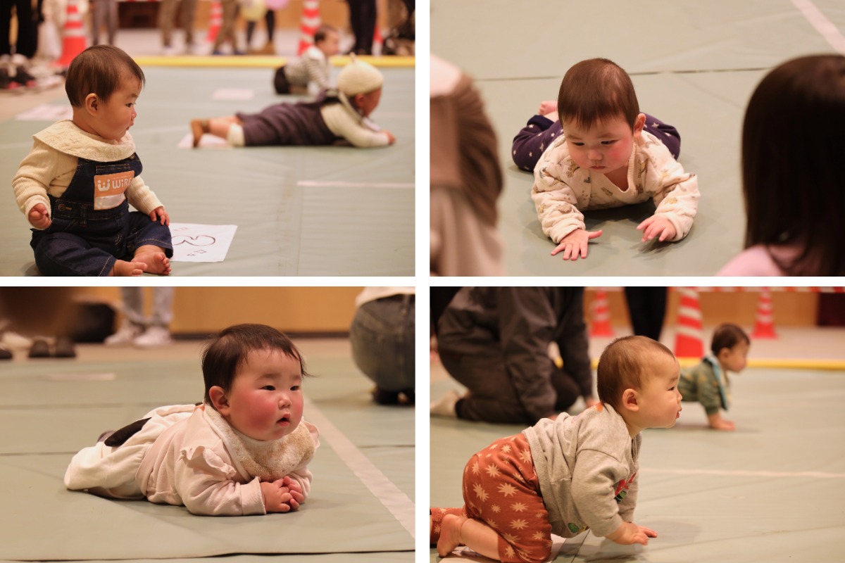 【イベントレポート】『ワイヤーフェスタ2026春』を開催しました！