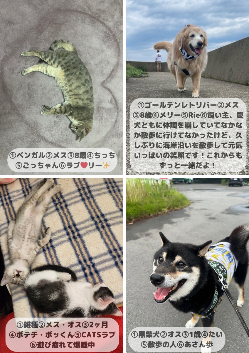 【ペットフォトコンテスト】幸せを呼ぶペットライフ　We LOVE Pet2024年8・9月版