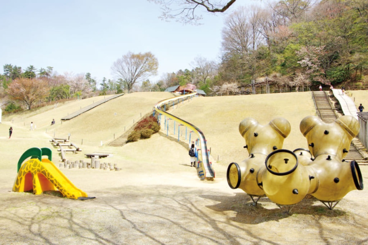 【アンケート募集】徳島県立神山森林公園の未来を考えよう｜回答は2月6日（金）まで