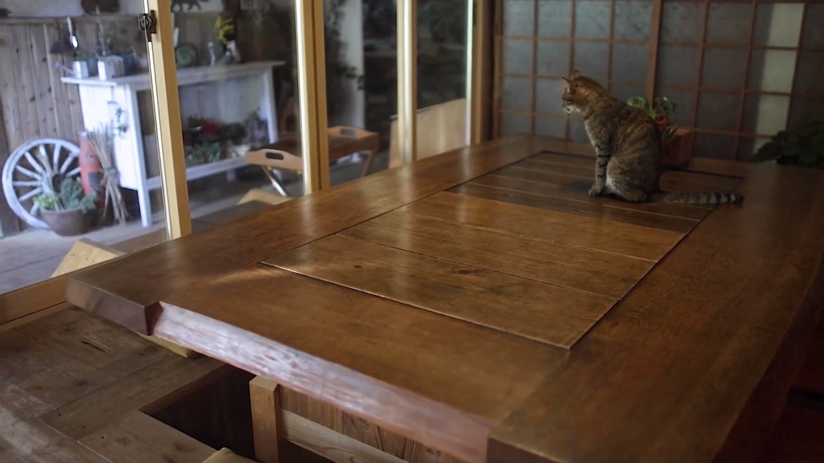 【奈良の木のこと】奈良の木を使ったカフェを動画でご紹介！